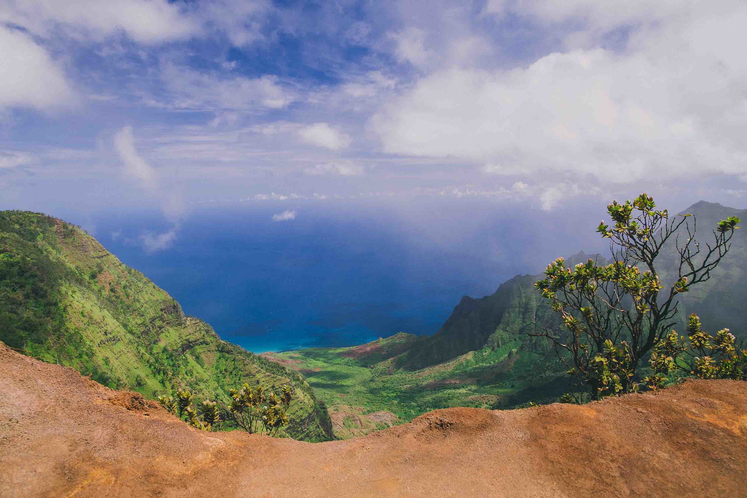 Kokee-kauai-bryce johnson photography- waimea canyon-actor-glee-2.jpg