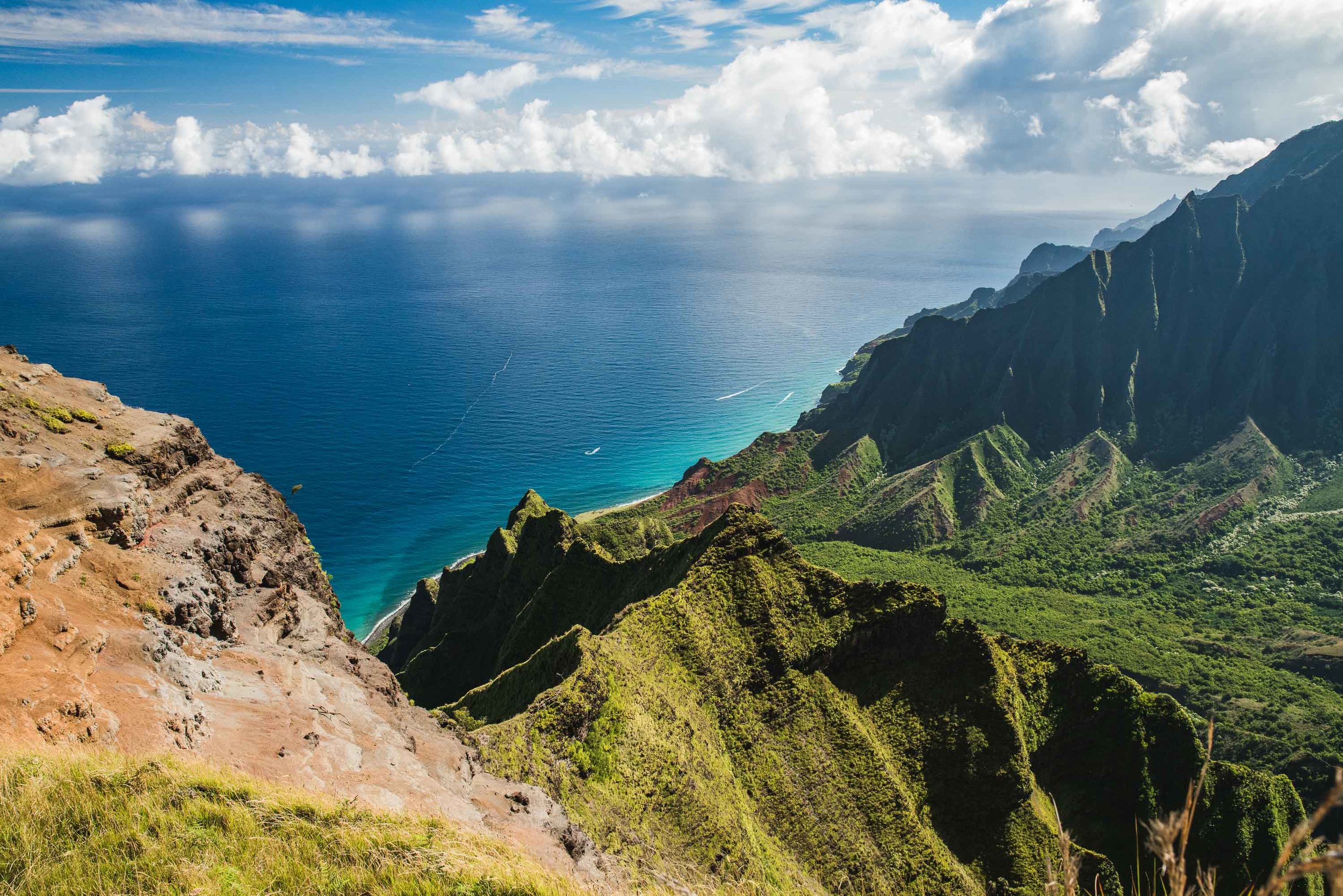 bryce-johnson-kalalau-ridge-kauai-hiking-hammock-palmwood-aloha-exchange-3.jpg