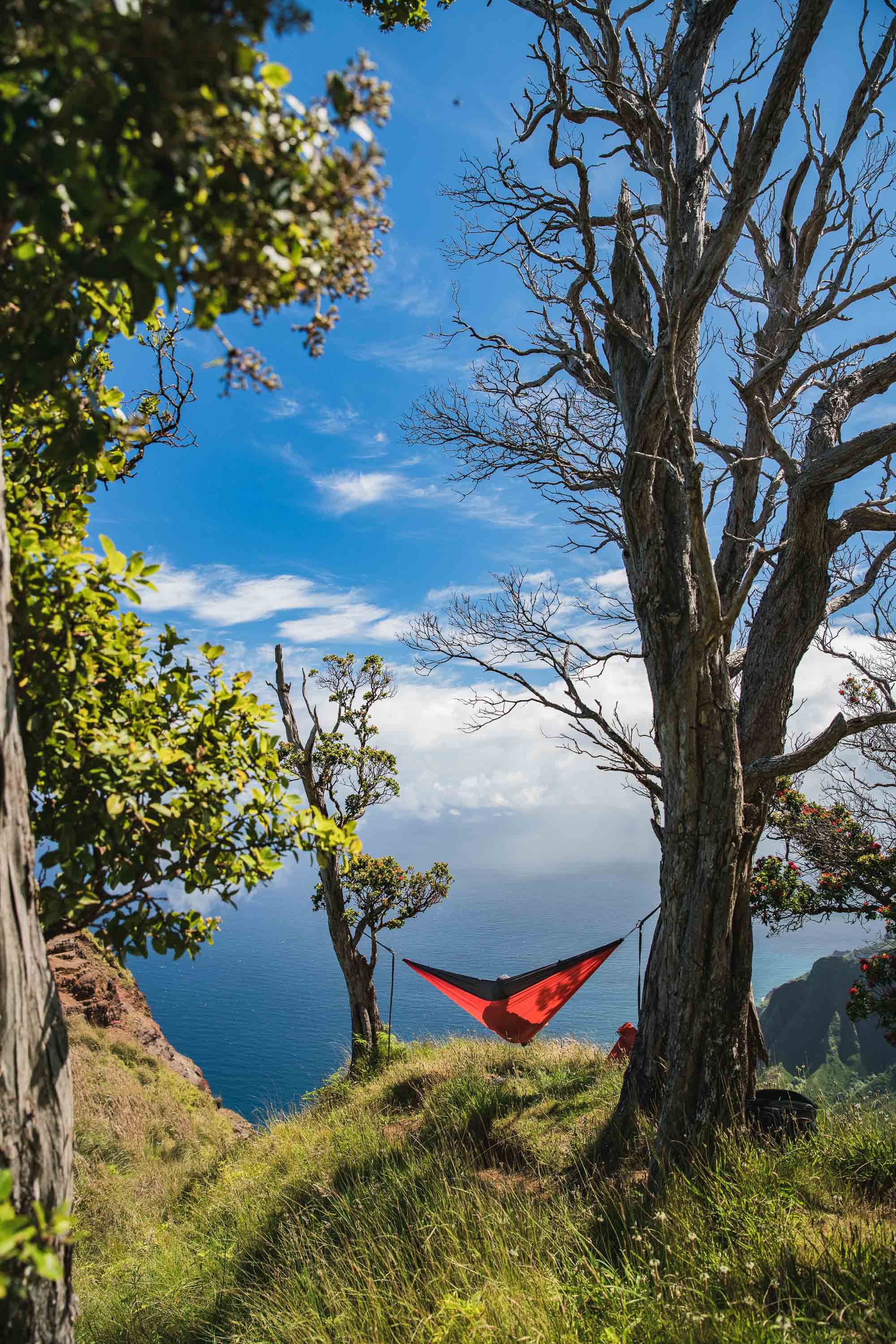 bryce-johnson-kalalau-ridge-kauai-hiking-hammock-palmwood-aloha-exchange-16.jpg