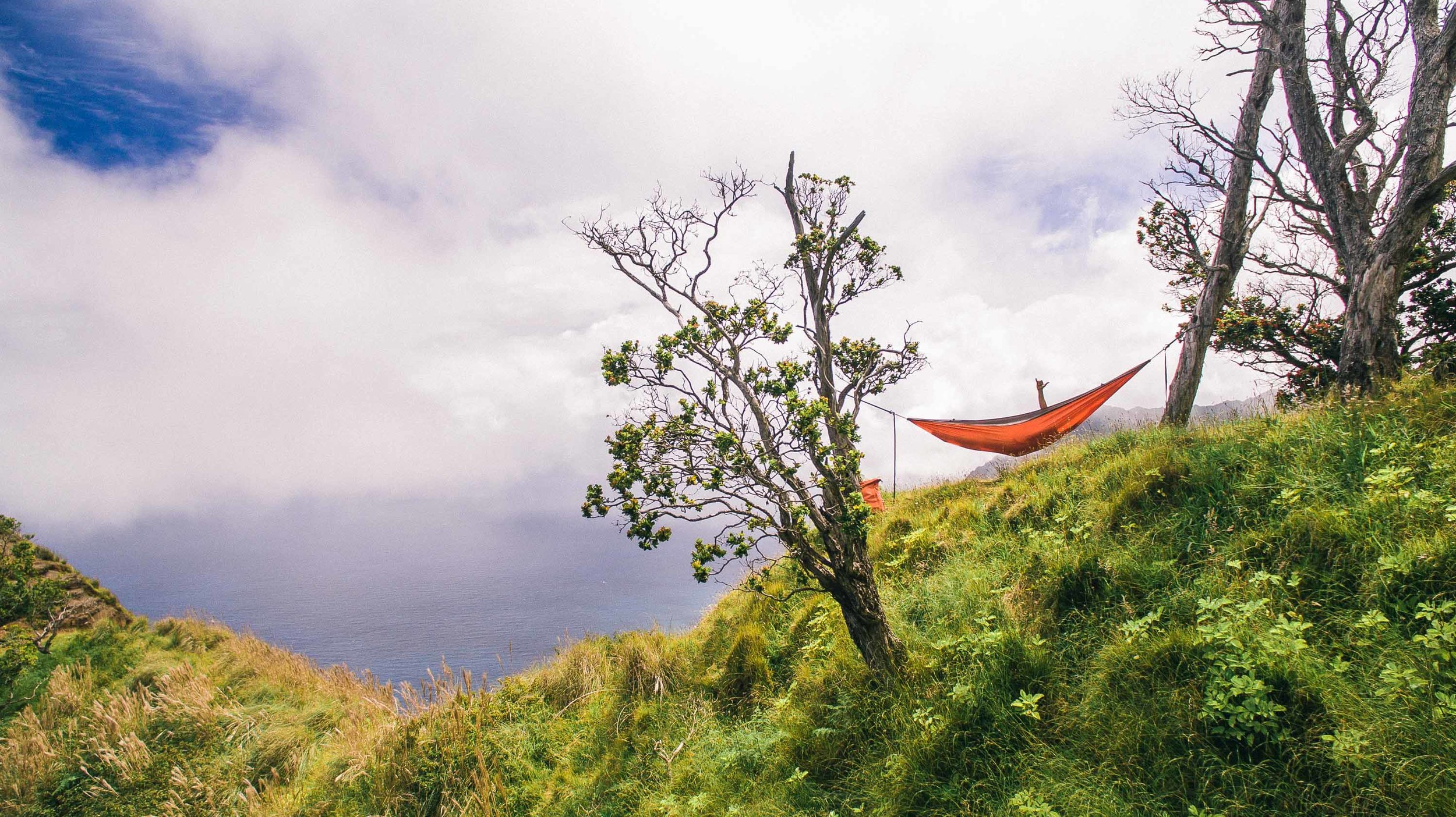 bryce-johnson-kalalau-ridge-kauai-hiking-hammock-palmwood-aloha-exchange-20.jpg