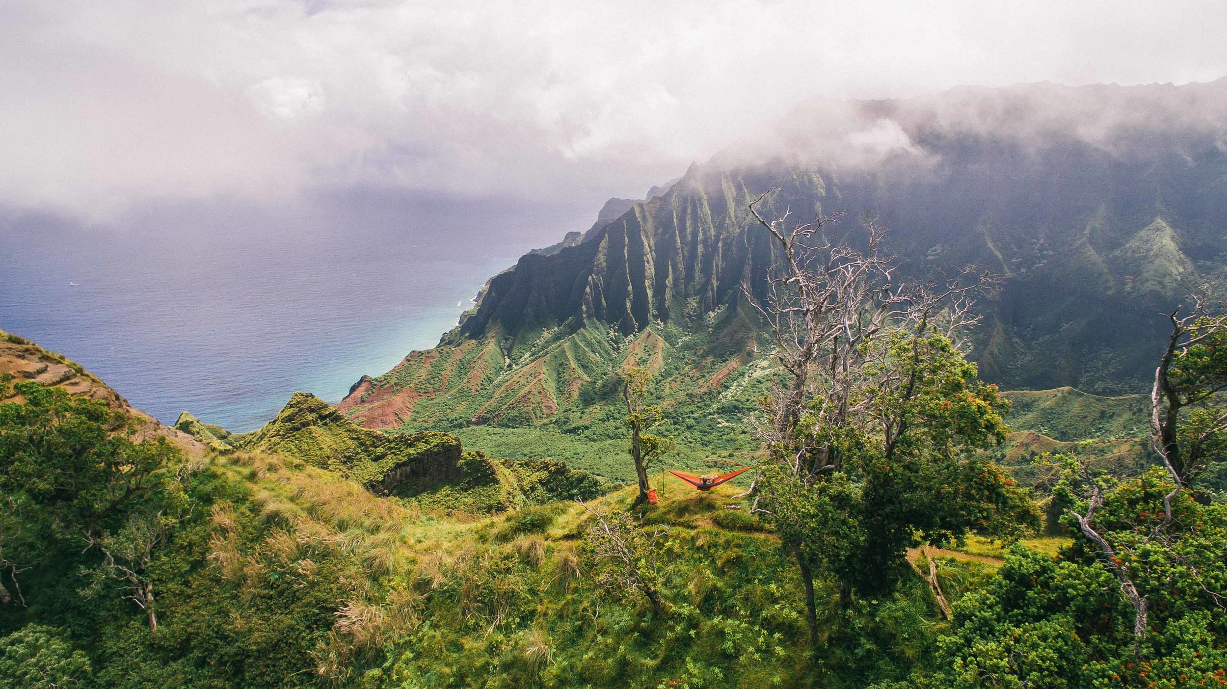 bryce-johnson-kalalau-ridge-kauai-hiking-hammock-palmwood-aloha-exchange-19.jpg