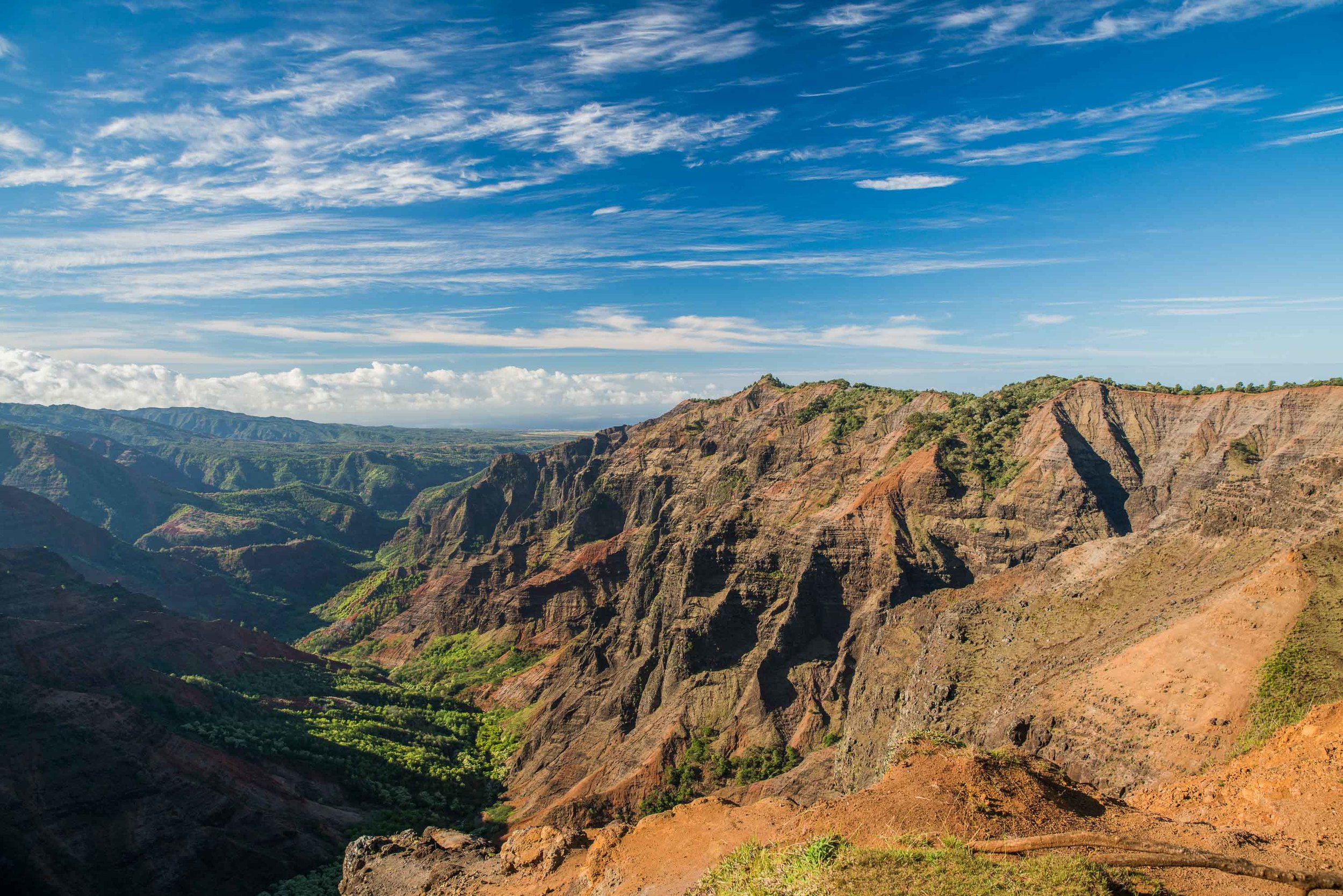 bryce-johnson-kalalau-ridge-kauai-hiking-hammock-palmwood-aloha-exchange.jpg