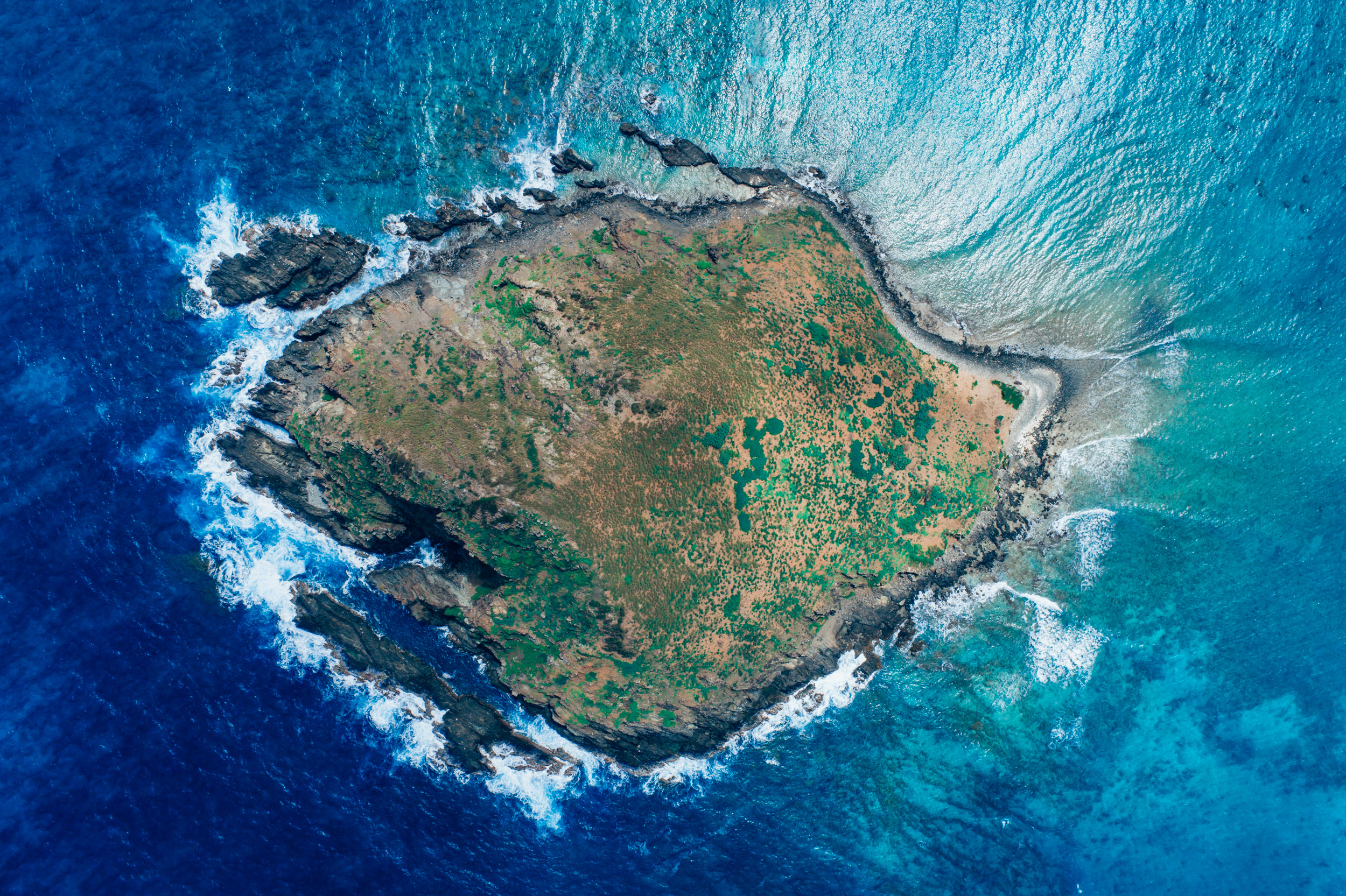 brycejohnson-hawaii-aerial-kailua-photo-palm tree-lanikai-5.jpg