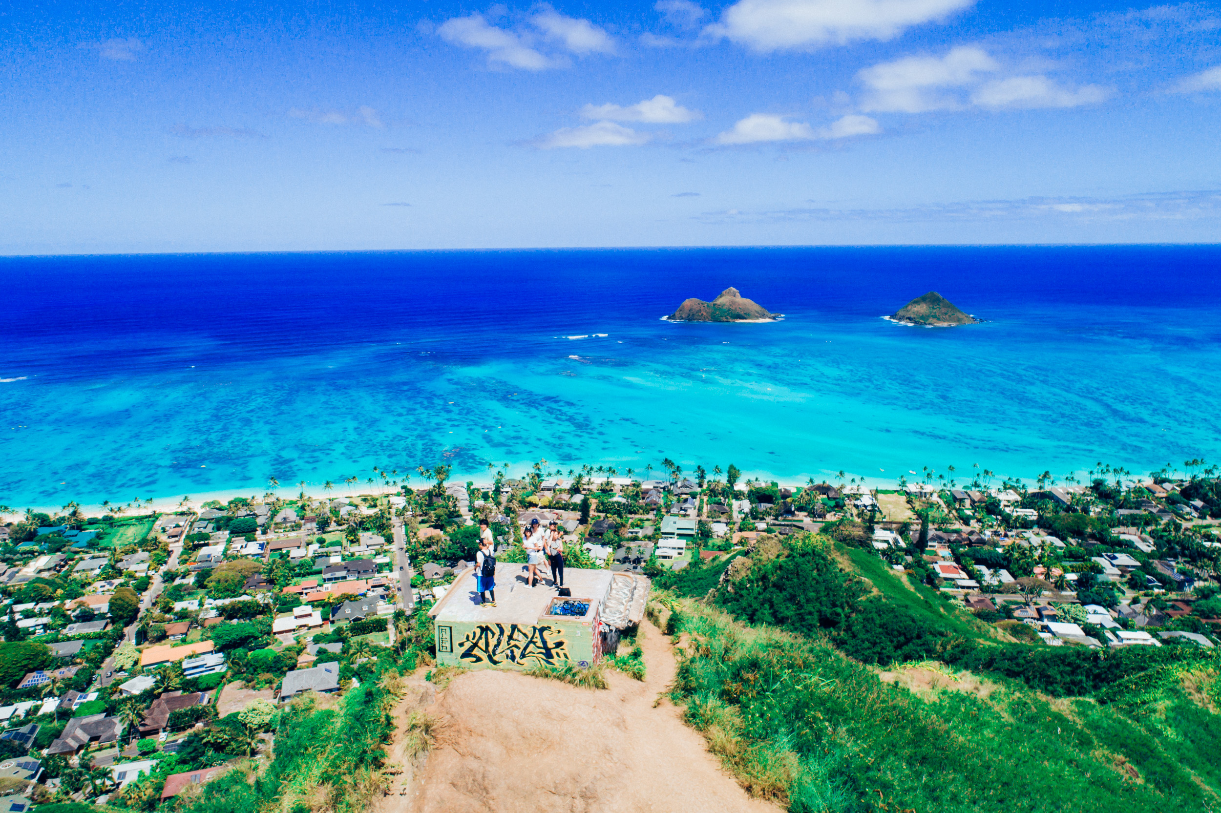 brycejohnson-hawaii-aerial-kailua-photo-palm tree-lanikai-11.jpg