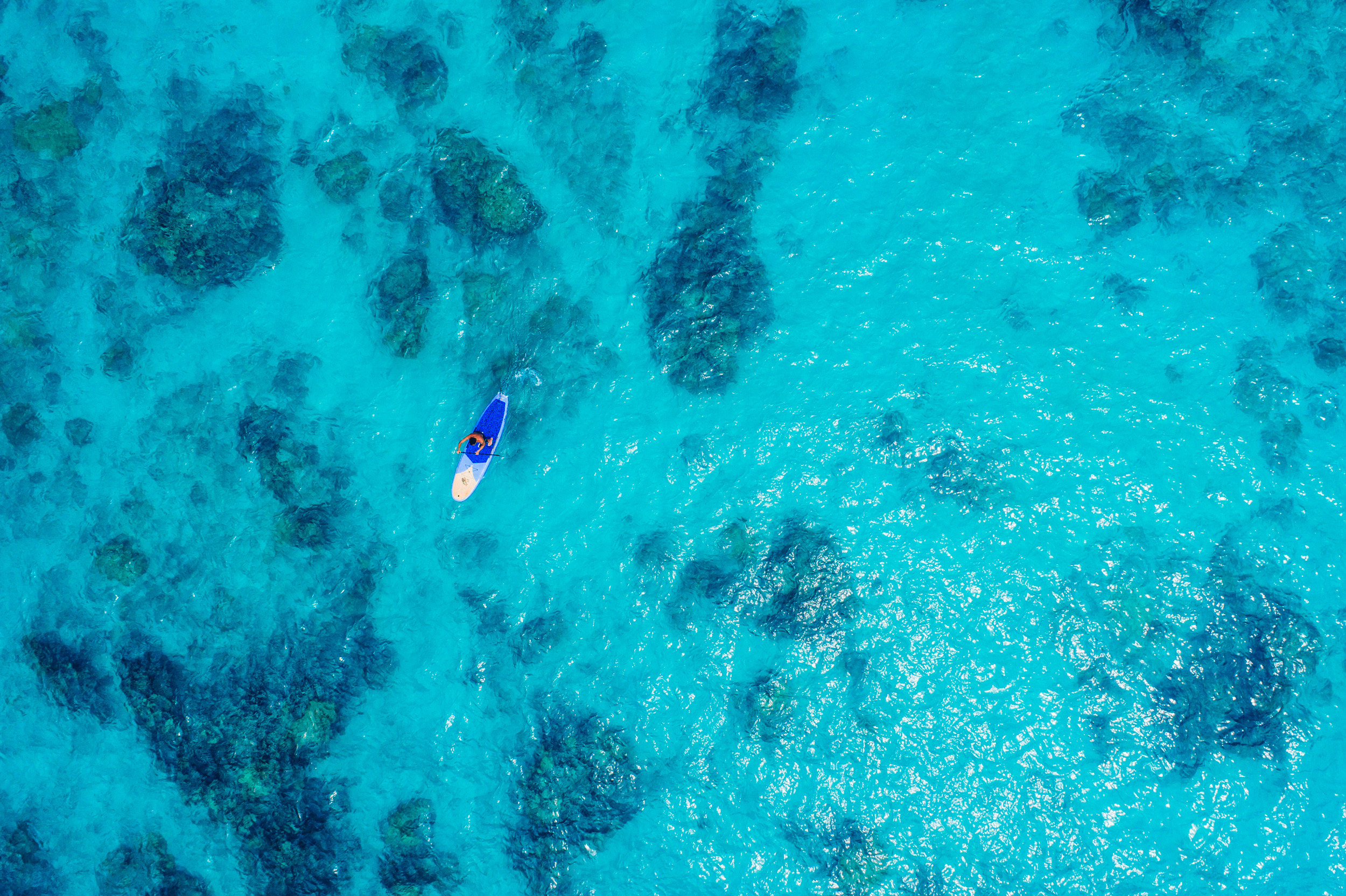 brycejohnson-hawaii-aerial-kailua-photo-palm tree-lanikai.jpg