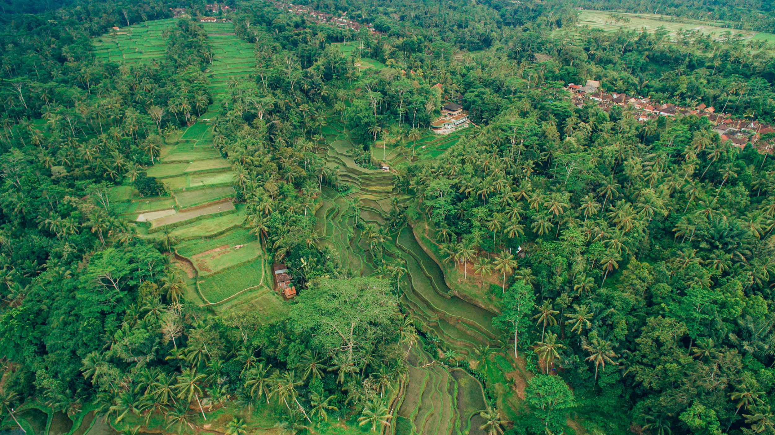 bryce johnson-photography-bali-seea-travel-rosie jaffurs-indonesia-surf-longboard-logging-uluwatu-drone-aloha travels-87.jpg