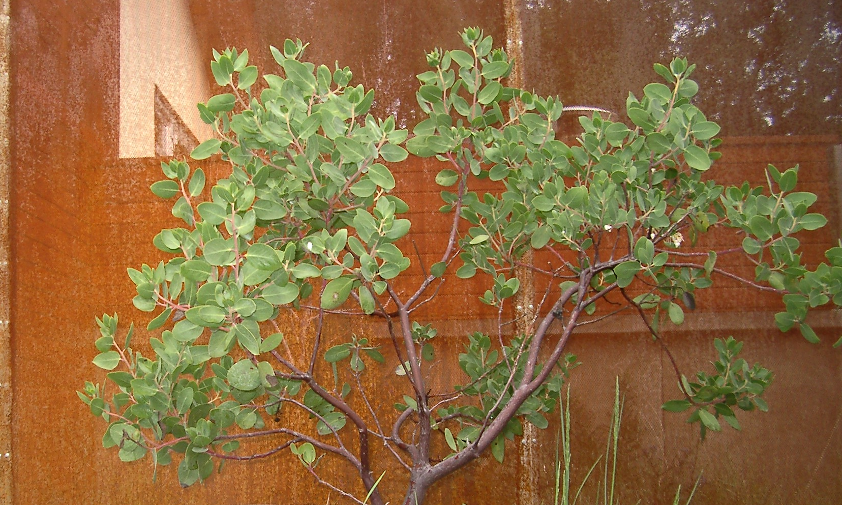 IMGP1829.JPG