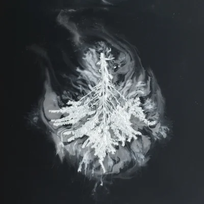 SEABUCKTHORN - TURNS