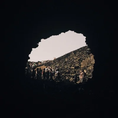 LUTON - BLACK BOX ANIMALS