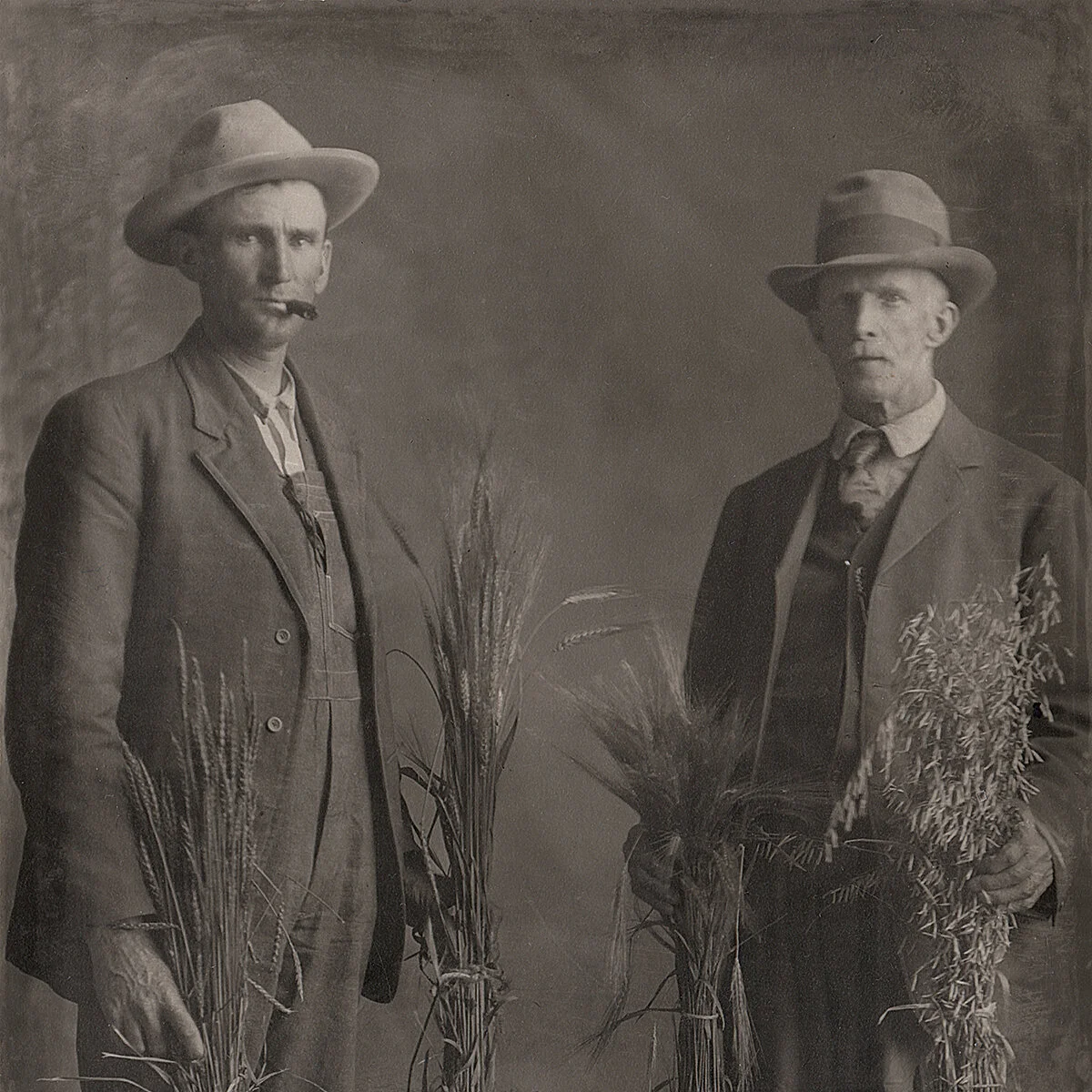 WESTERN SKIES MOTEL - SETTLERS