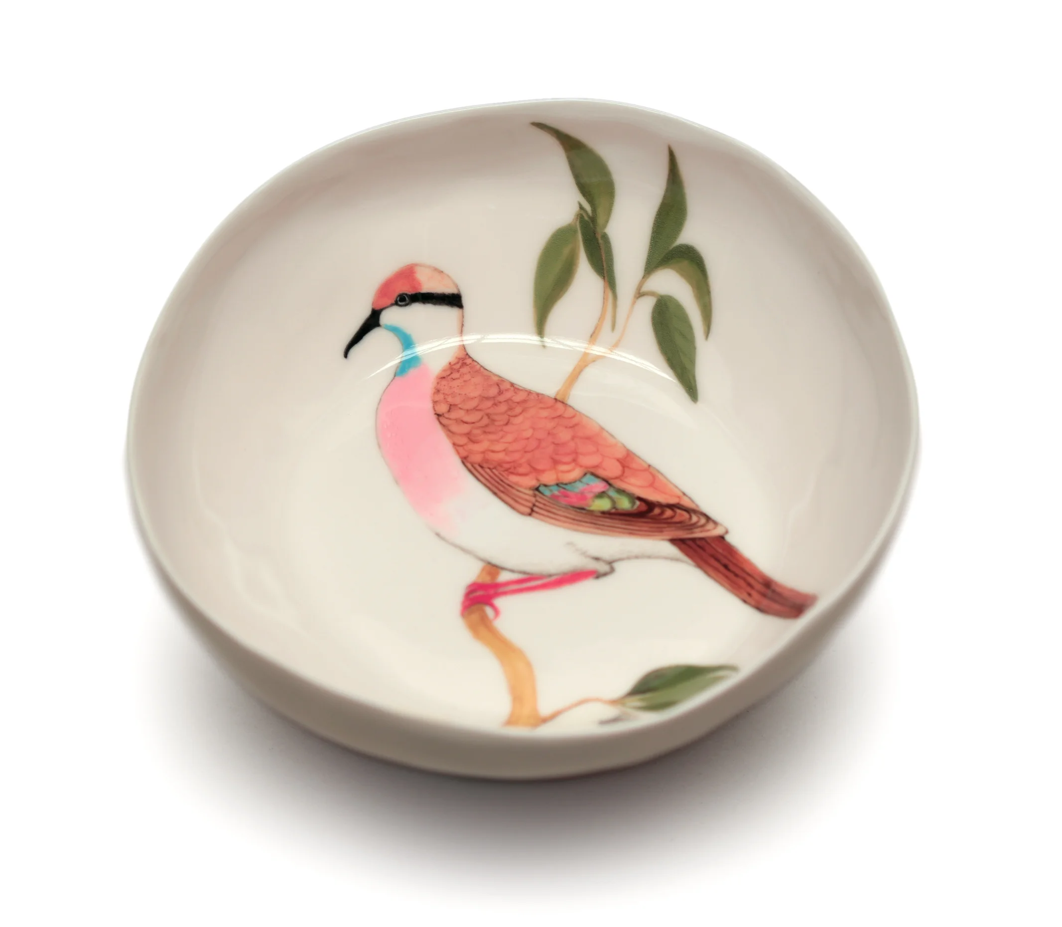 'Brush Bronzewing and Red-tailed Phascogale bowl' 2014 Painted slip-cast porcelain. 