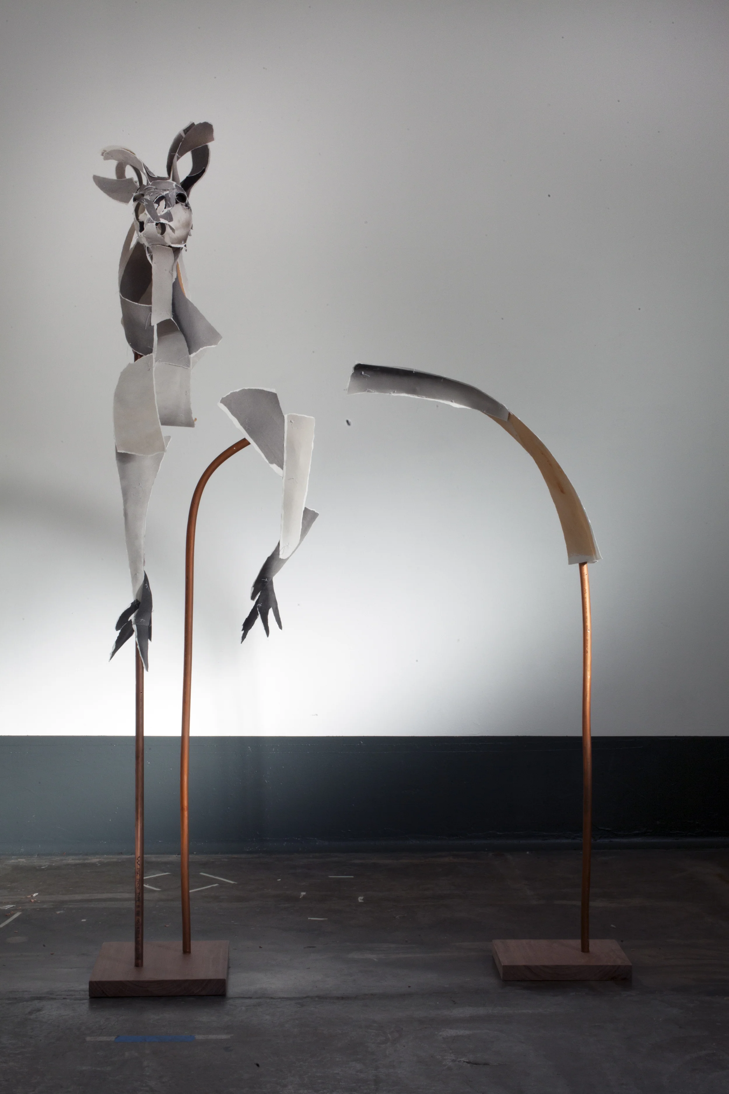 'Highfield Kangaroo' 2014 Archival cotton rag, thread, copper pipe and wood base. 