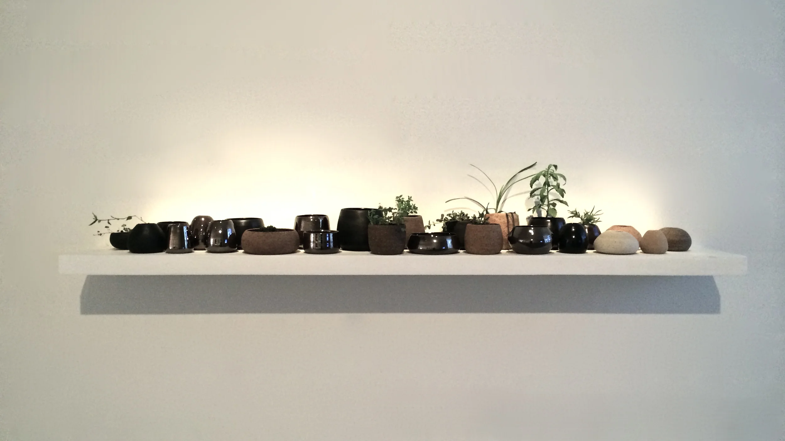 Sweet Nature. 2015. Australian clay, glaze, local plants.