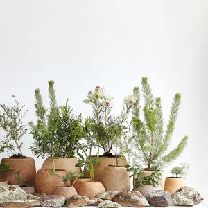  EXHIBITION SWEET NATURE SYDNEY DESIGN 2 - 11 September 2016 