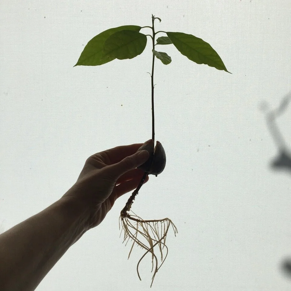  EXHIBITION INGENUITY 27 July - 27 August 2020 