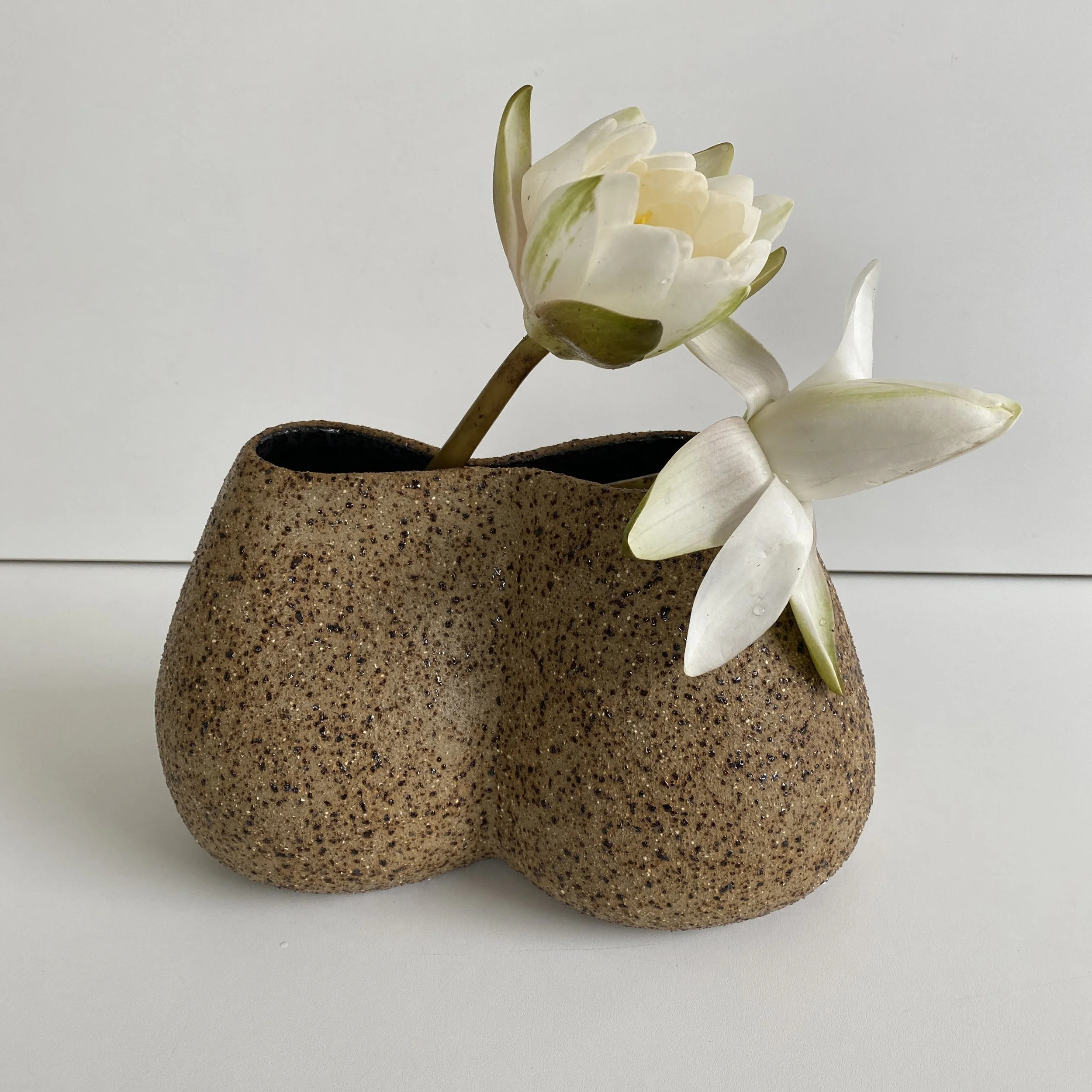  SHAREHOLDER FANTASY March 2022 