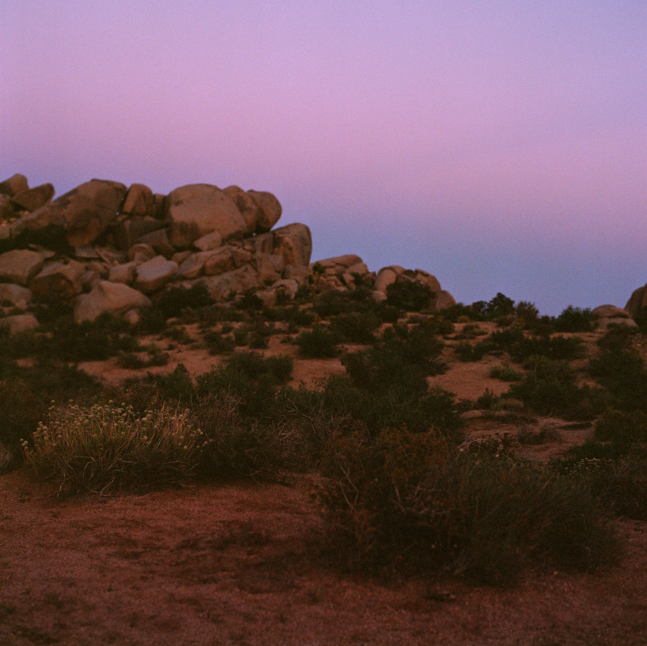 07e.jpg