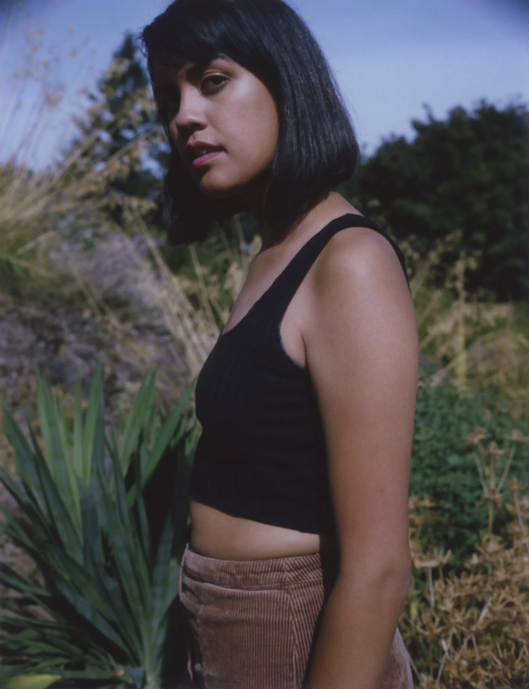 JasmineButteClose3c.jpg