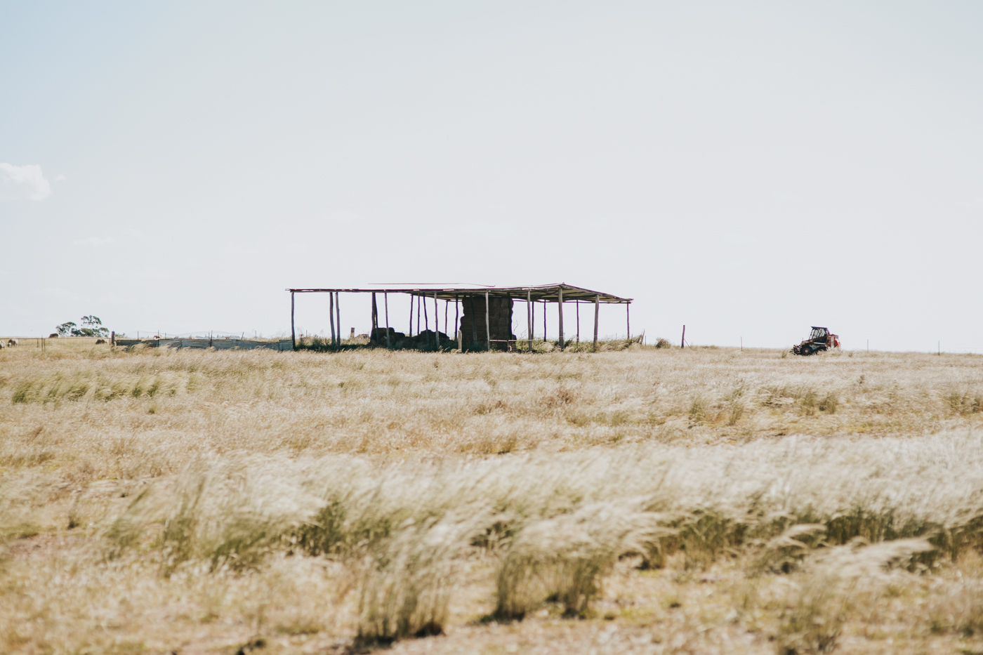 Nicolle & Jacob - Dubbo Wedding - Country Australia - Samantha Heather Photography-151.jpg