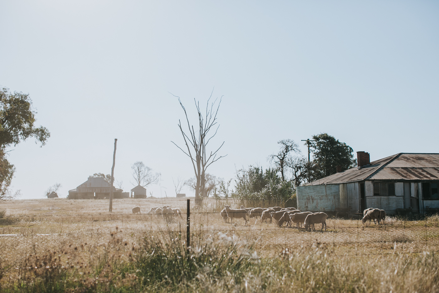 Nicolle & Jacob - Dubbo Wedding - Country Australia - Samantha Heather Photography-189.jpg