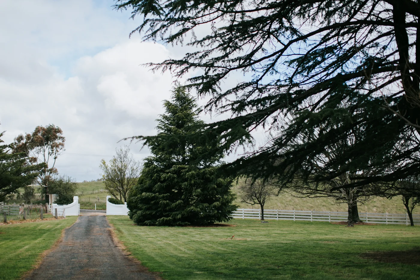 Bridget & James - Orange Country Wedding - Samantha Heather Photography-1.jpg