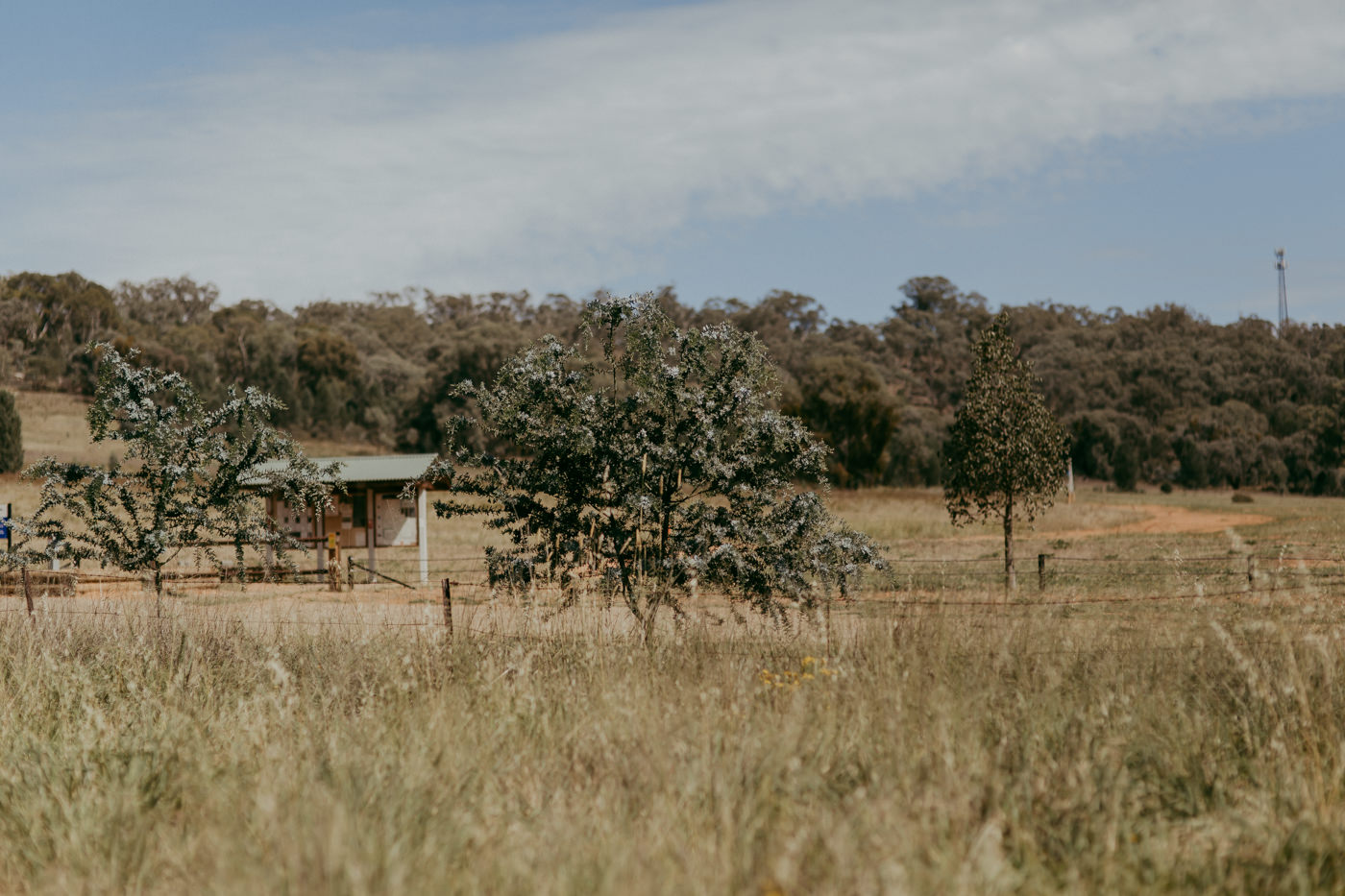 Anthony & Eliet - Wagga Wagga Wedding - Country NSW - Samantha Heather Photography-2.jpg