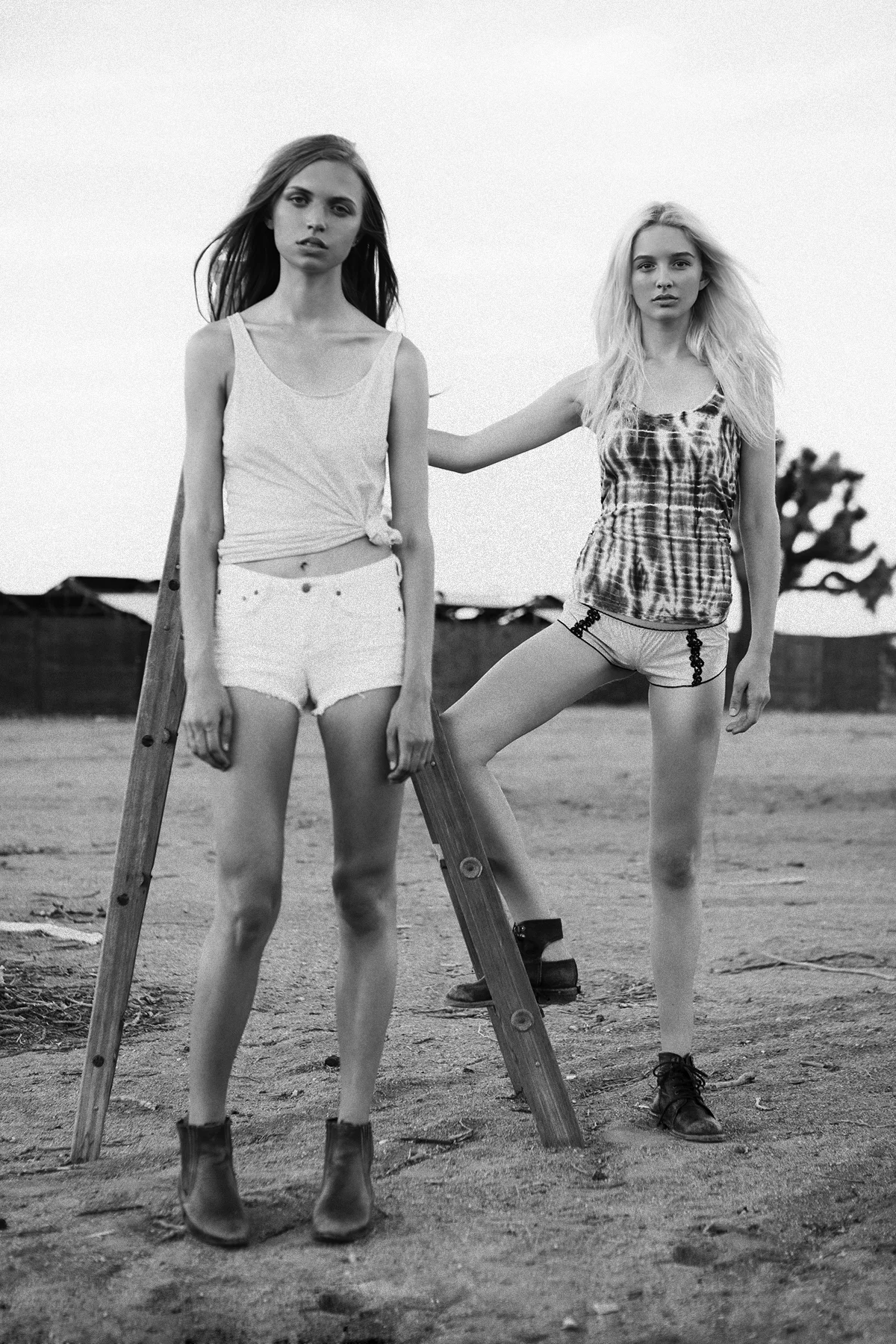Desert8bw.jpg