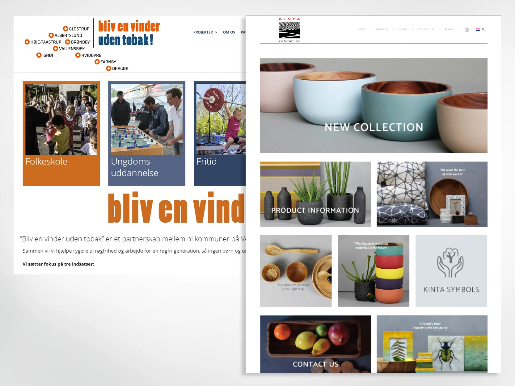  Design af hjemmesider 