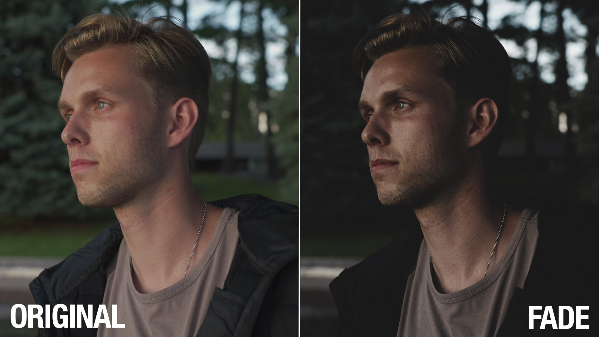 sd-moody-collection-fade-1.jpg