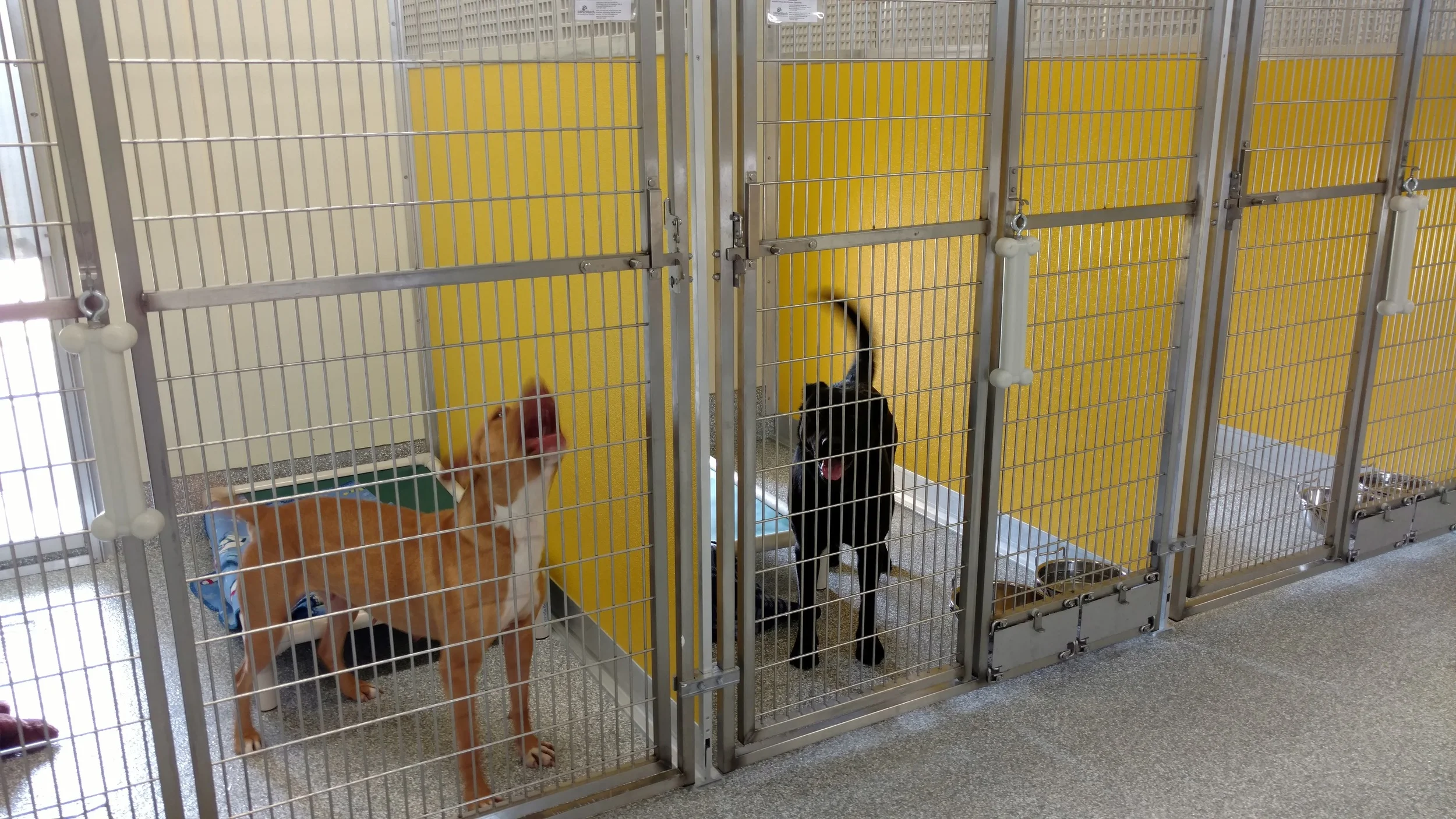 SPCA Animal Shelter — A. R. Chesson Construction Construction