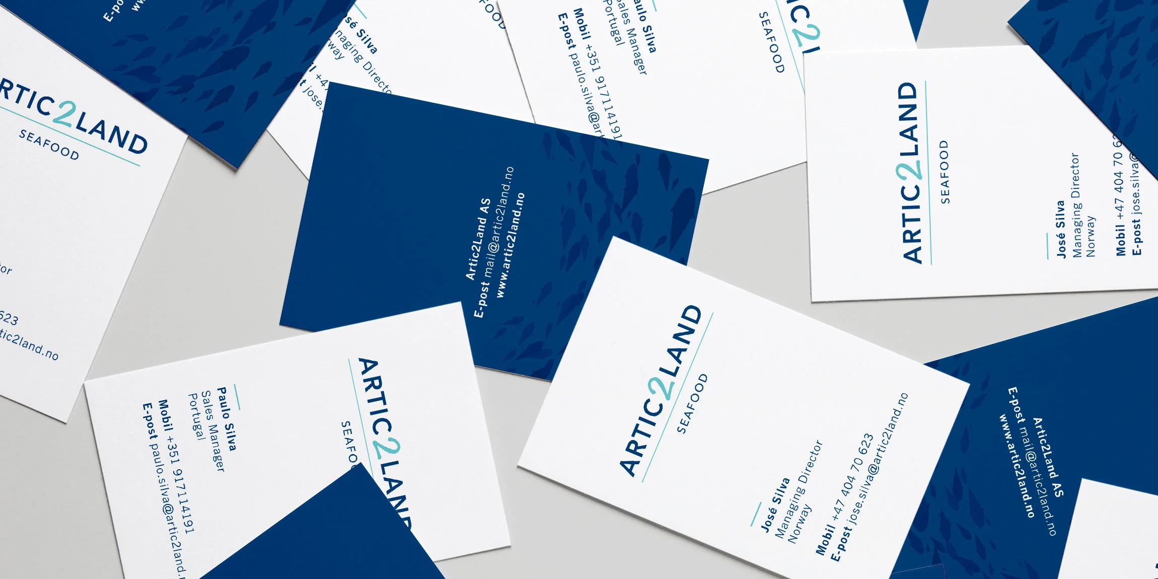 Logo, business cards and website.