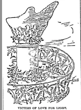 Illustration of birds dead on the pavilion below the Statue of Liberty's torch, from Duluth Daily News , November 8, 1887