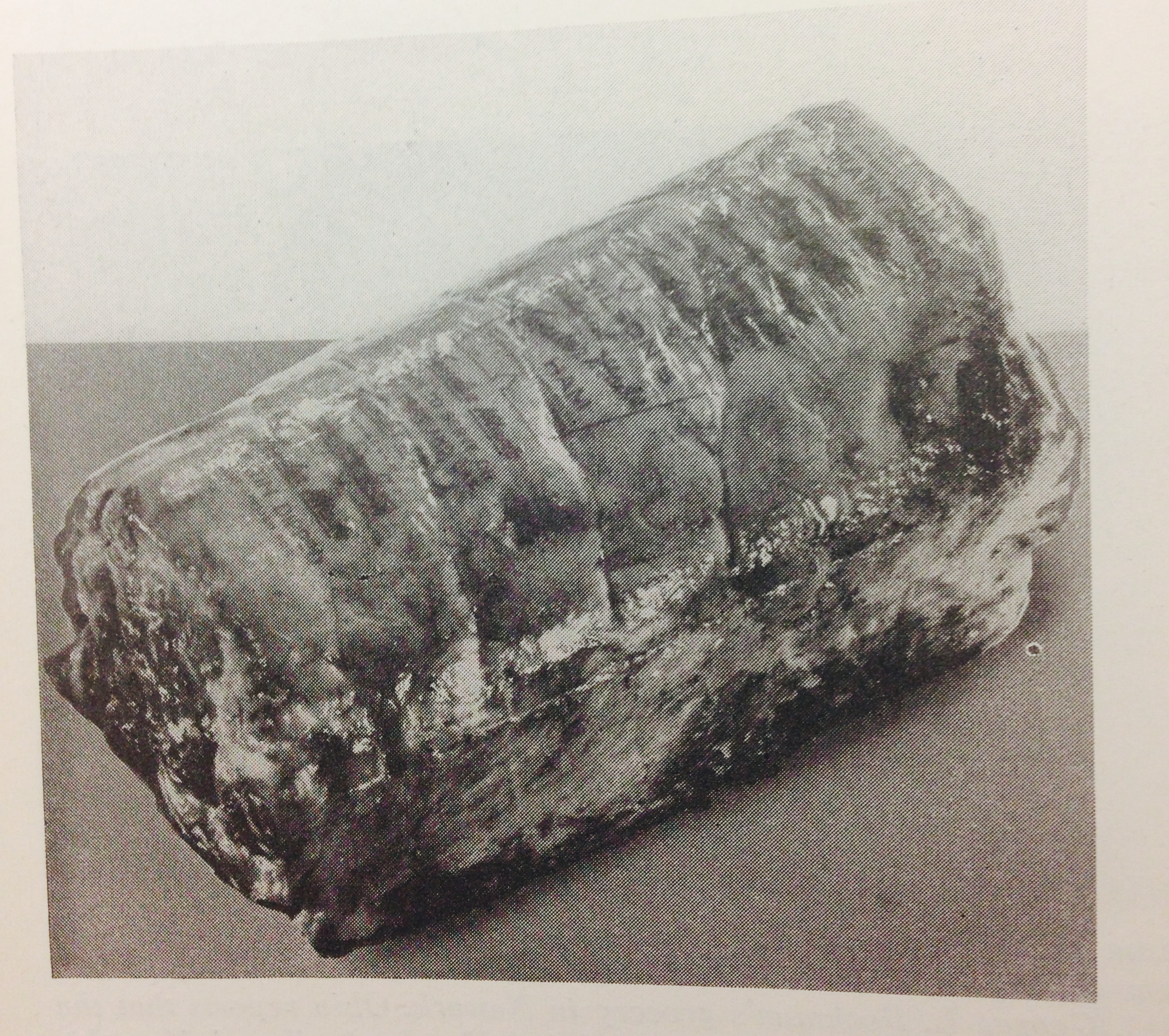 Gelafinish in action, from Food Industries , September 1938, p. 506. If you look closely, you can see the writing on the ham: Wilson's Tender Made Ham, Gelatin Dipped, Ready to Serve...
