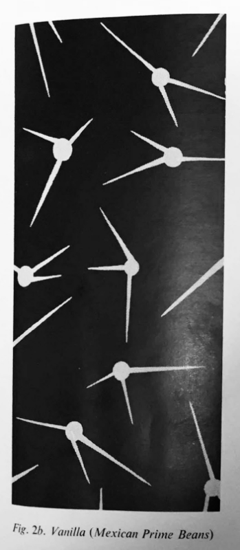 Acicular crystals of vanillin? The influence of chemical form on creative thought?