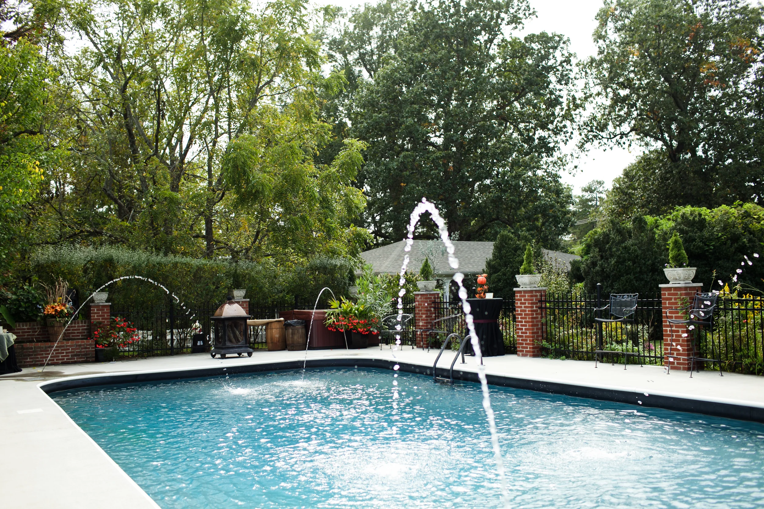  Wolf Creek Photography 