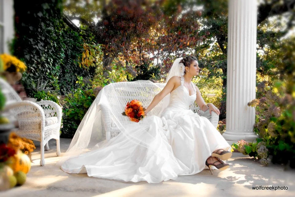 Wolf Creek Photography