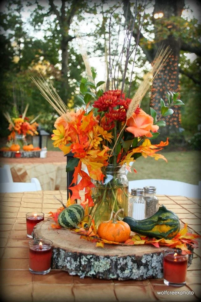 Wolf Creek Photography