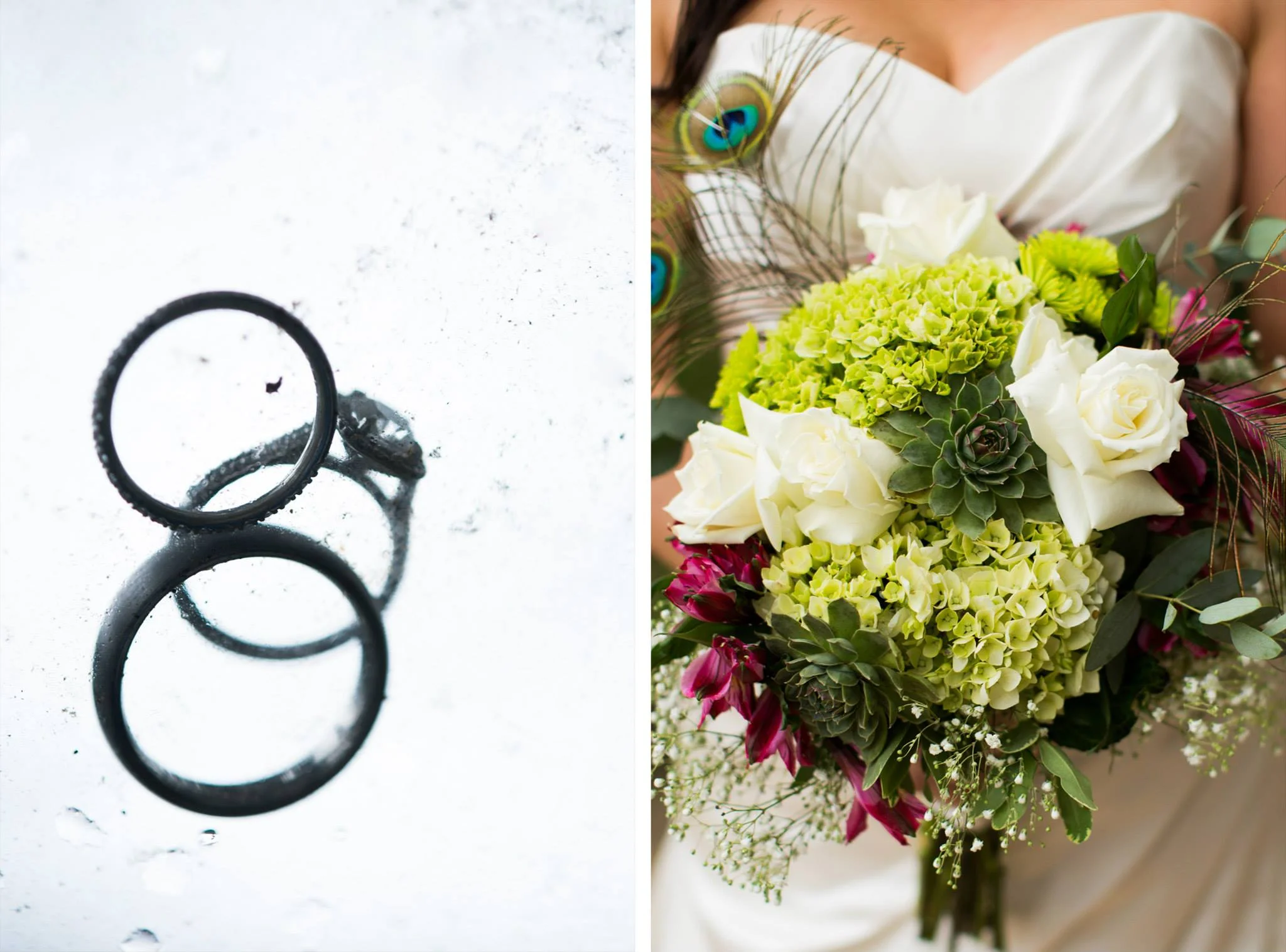 Liz Cook Photography