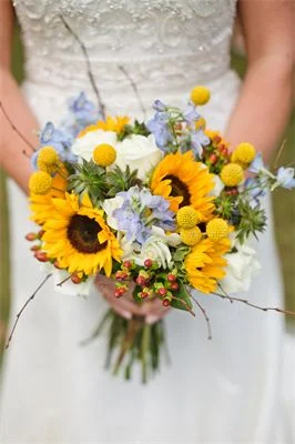 Liz Cook Photography