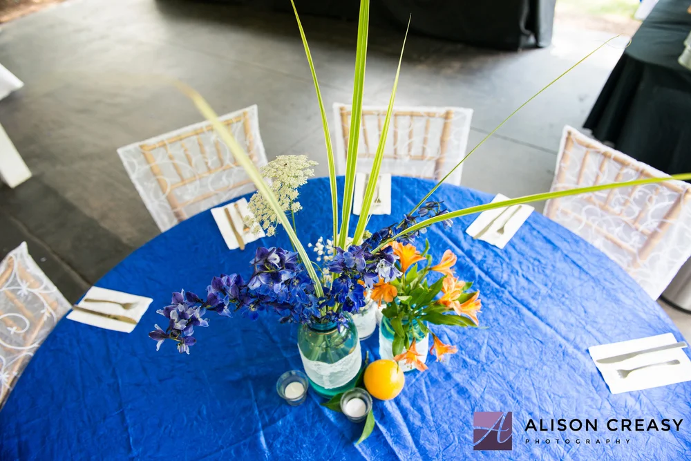AllisonCreasyPhoto.jpg