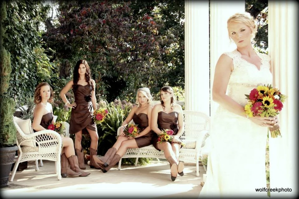 Wolf Creek Photography
