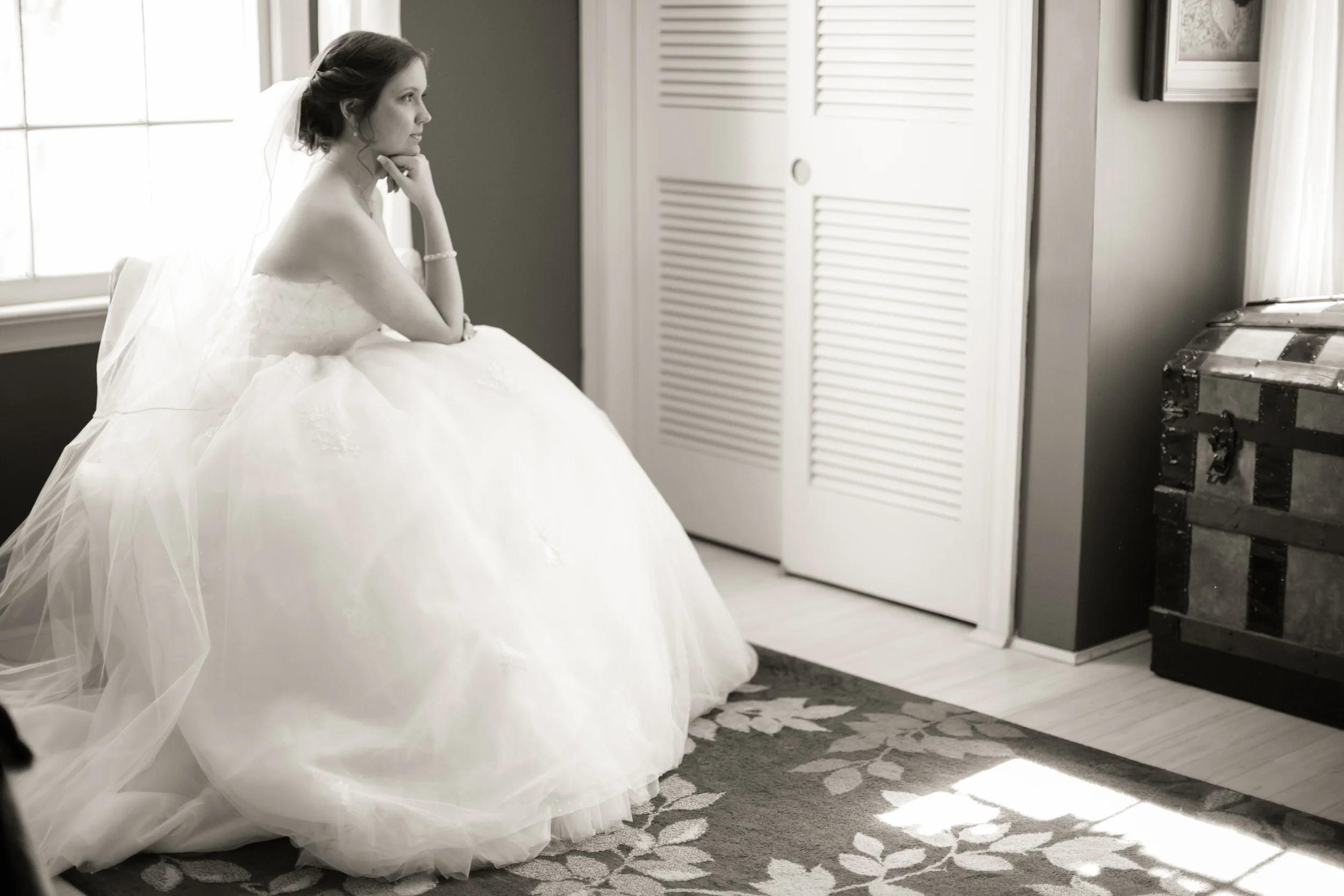 Liz Cook Photography 