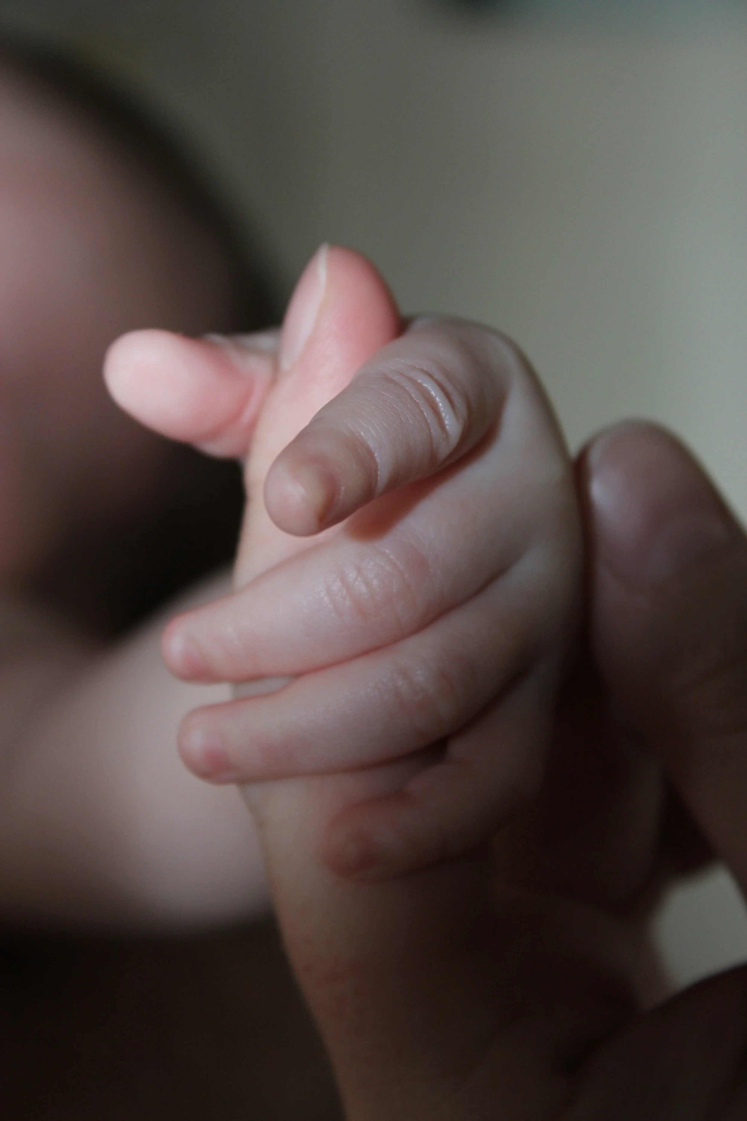 baby-99771.jpg
