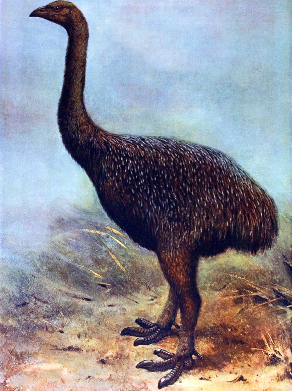 Image courtesy of Sci-News here