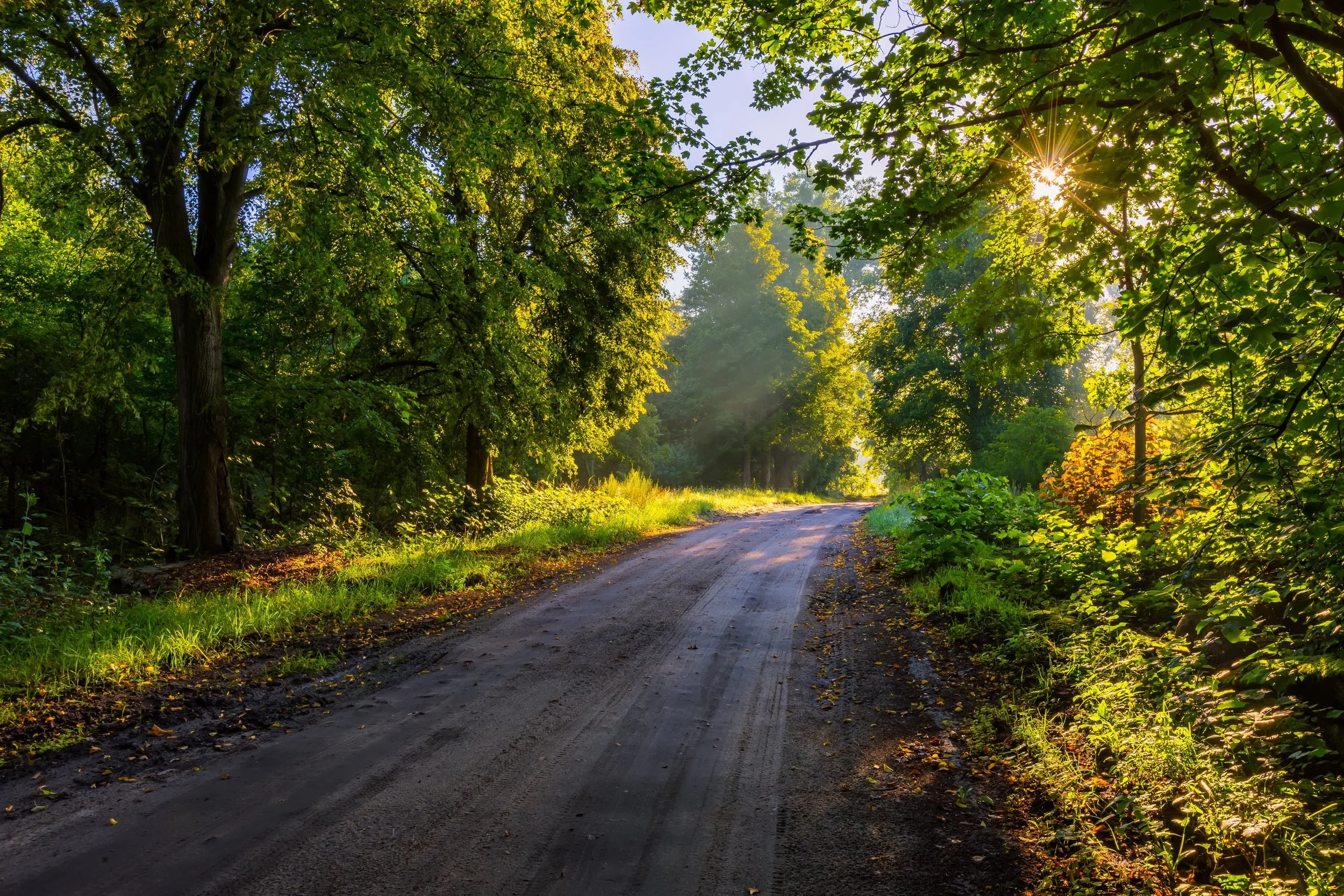 The path ahead...