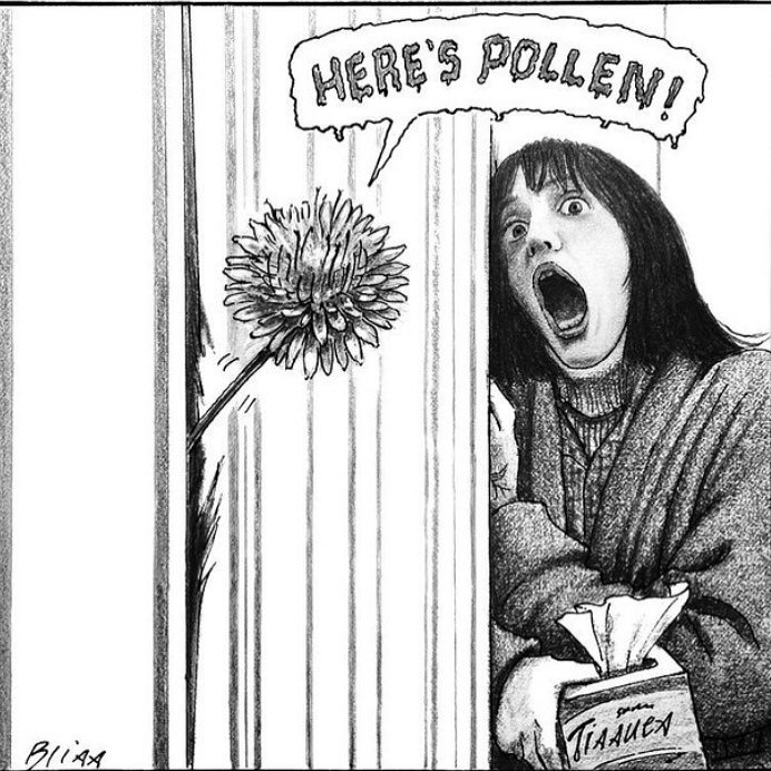 Gird your loins as you head out&hellip;
We got tree pollen, grass pollen and now. . .  ragweed here! Everyone&rsquo;s here now and this party has STARTED! 🤧

Cartoon via @newyorkercartoons by @blisscartoons