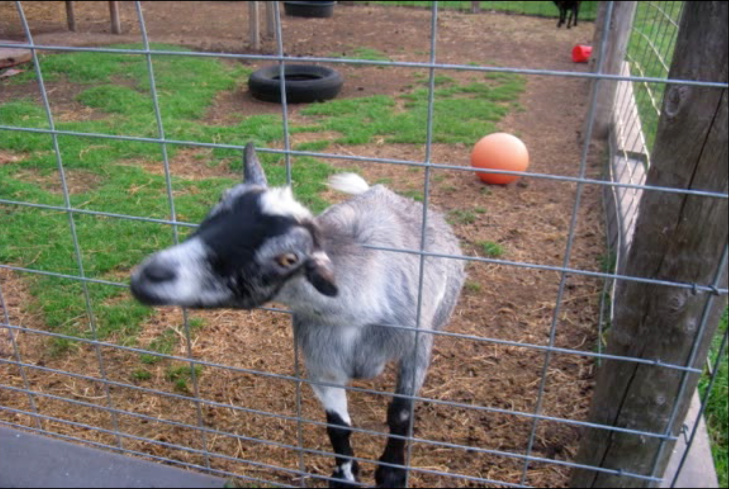 Screen Shot 2013-08-13 at 20.07.40.png