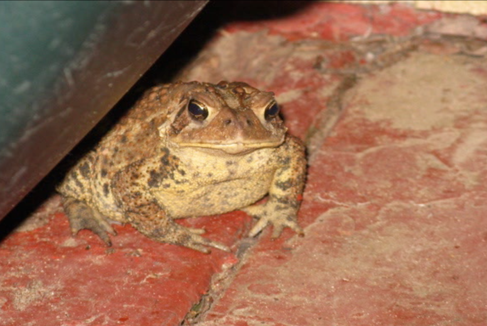 Screen Shot 2013-08-13 at 20.49.05.png