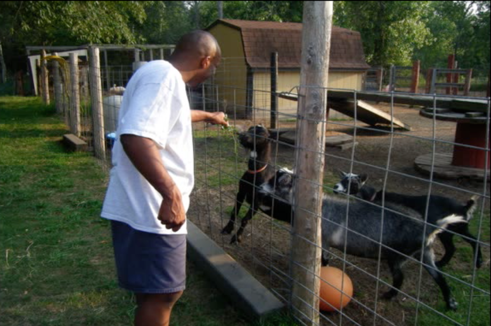 Screen Shot 2013-08-13 at 20.52.00.png