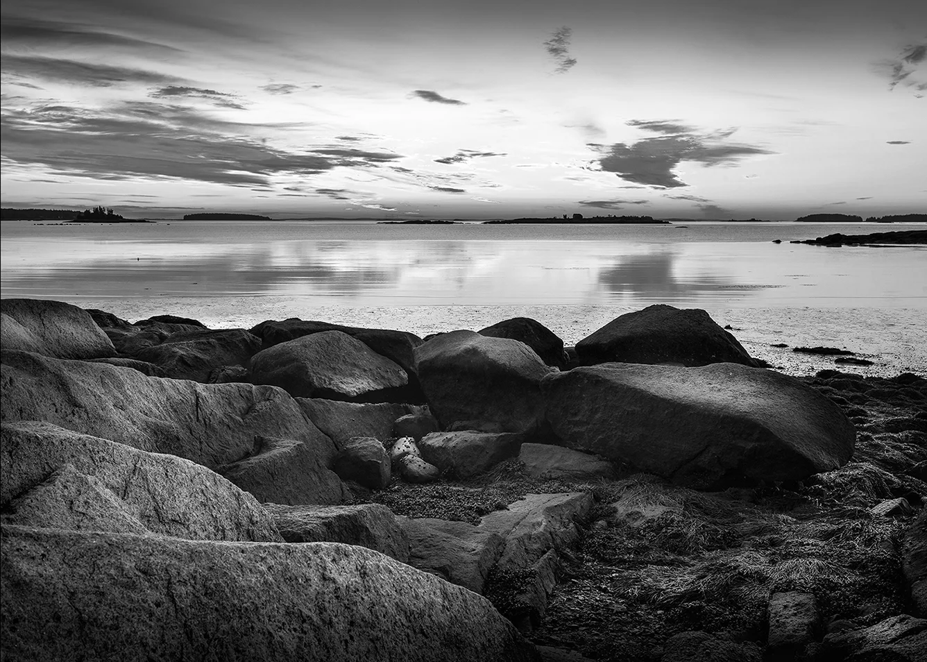 _CV21420-Edit.jpg